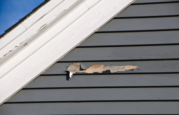 Best Custom Trim and Detailing for Siding  in Sutton, NE